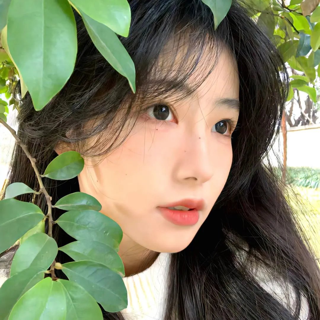 圣女的魔力是万能的第二季 高清封面